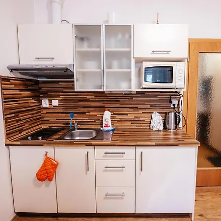 - 23 - Wifi, Parking, Netflix * リプノ・ナト・ヴルタヴォウ